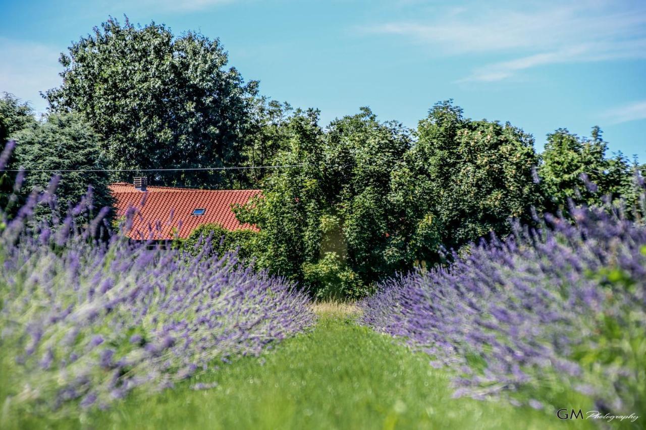 Azienda agricola La Macina Bregnano Exterior foto